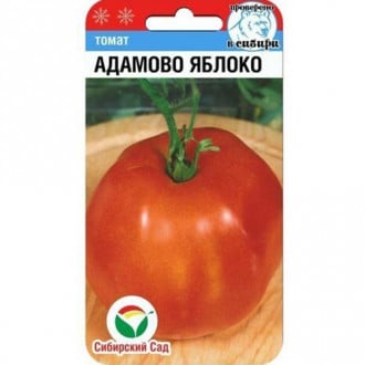 Томат Адамово яблоко Сибирский сад изображение 2