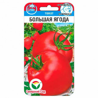 Томат Большая ягода Сибирский сад изображение 5