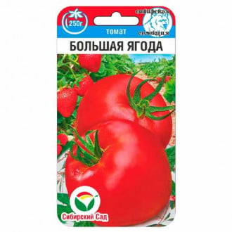 Томат Большая ягода Сибирский сад изображение 3