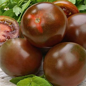 Томат Черри Шоколадные яблочки F1 Premium Seeds изображение 5