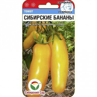 Томат Сибирские бананы Сибирский сад изображение 3