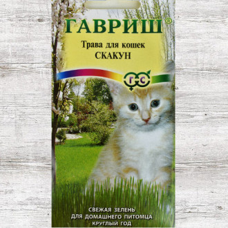 Трава для кошек Скакун Гавриш изображение 5