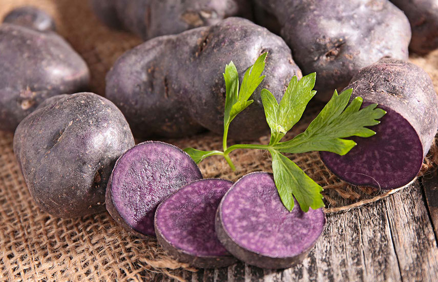 фиолетовый картофель польза как вырастить