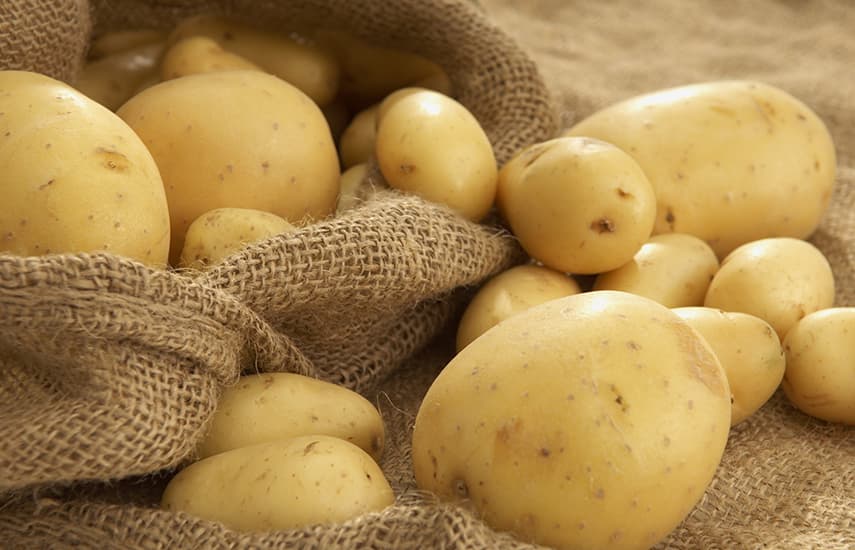 Желтый картофель — сорта и их особенности