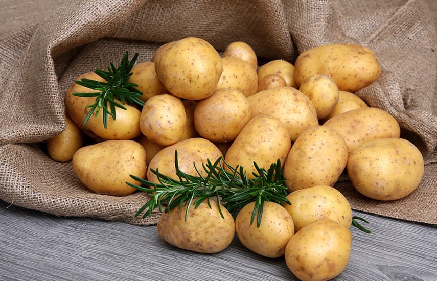 Желтый картофель — сорта и их особенности