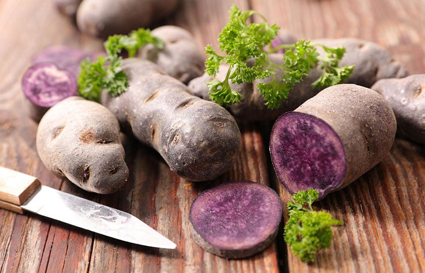 как вырастить фиолетовый картофель
