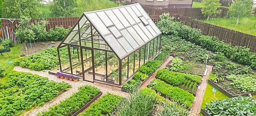Огород для чайников: 10 советов начинающим садоводам